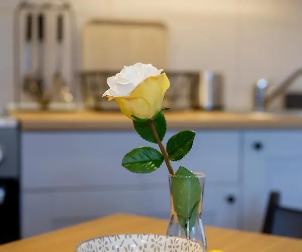 Kaja アパート ズラティボール